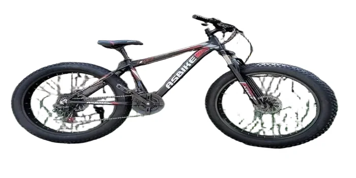 Asbike 26 Steel 